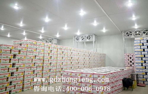 蔬菜水果保鮮冷庫,冷藏庫,冷庫建造,東莞冷藏庫